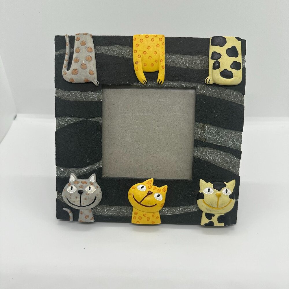 Cat Frame Kitschy Kitsch Kitten Photo Photography Derpy